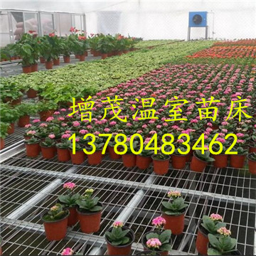 溫室<a href='/' target='_blank'><a href='http://m.banos10china.com/miaochuangsheshi/203.html'target='_blank'>花架網</a></a>廠家 溫室<a href='/' target='_blank'><a href='http://m.banos10china.com/miaochuangsheshi/203.html'target='_blank'>花架網</a></a>廠家