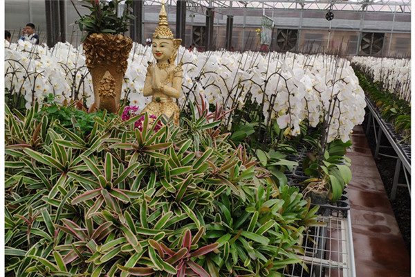 1559090334336012.jpg IMG_20190421_131749_副本.jpg