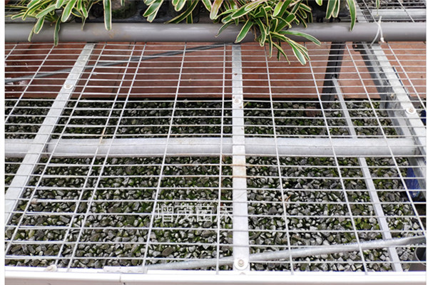 1559090347201249.jpg IMG_20190421_131846_副本.jpg