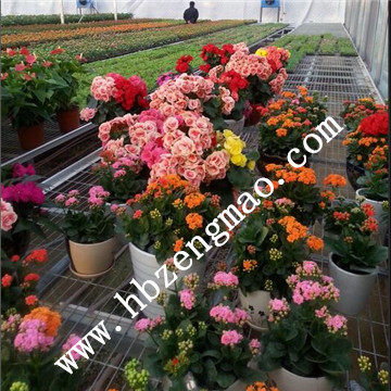 <a href='/' target='_blank'><a href='/' target='_blank'>溫室苗床</a>網</a>廠家