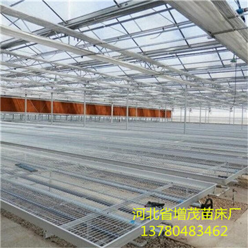 <a href='/' target='_blank'><a href='/' target='_blank'>溫室苗床</a>網</a>廠家