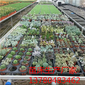 <a href='/' target='_blank'><a href='/' target='_blank'>溫室苗床</a>網</a>